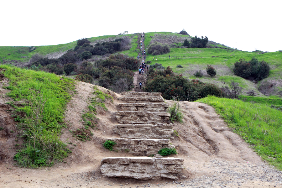 There are two ways to the top. The dirt trails that loop around the hill, or the more direct route; straight up the Culver City Stairs. Photo by Jason Lewis